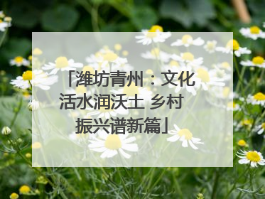 潍坊青州：文化活水润沃土 乡村振兴谱新篇