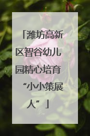 潍坊高新区智谷幼儿园精心培育“小小策展人”