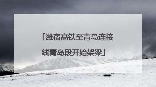 潍宿高铁至青岛连接线青岛段开始架梁