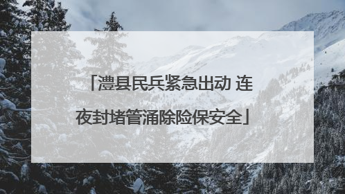 澧县民兵紧急出动 连夜封堵管涌除险保安全
