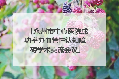 永州市中心医院成功举办血管性认知障碍学术交流会议