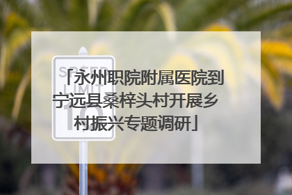 永州职院附属医院到宁远县桑梓头村开展乡村振兴专题调研