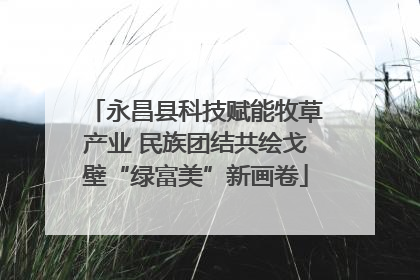 永昌县科技赋能牧草产业 民族团结共绘戈壁“绿富美”新画卷