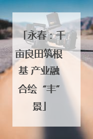 永春：千亩良田筑根基 产业融合绘“丰”景