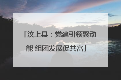 汶上县：党建引领聚动能 组团发展促共富