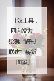 汶上县：四向发力 绘就“跨村联建”崭新图景