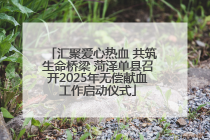 汇聚爱心热血 共筑生命桥梁 菏泽单县召开2025年无偿献血工作启动仪式