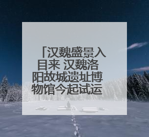 汉魏盛景入目来 汉魏洛阳故城遗址博物馆今起试运行