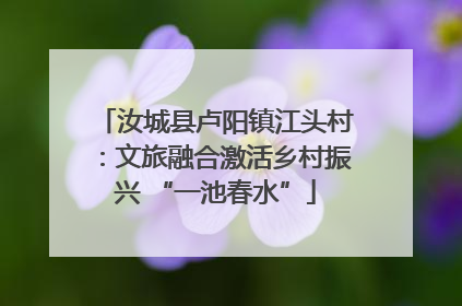 汝城县卢阳镇江头村：文旅融合激活乡村振兴 “一池春水”