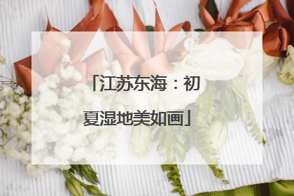 江苏东海：初夏湿地美如画