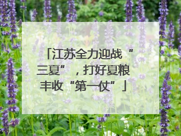 江苏全力迎战“三夏”，打好夏粮丰收“第一仗”