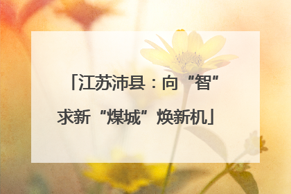 江苏沛县：向“智”求新“煤城”焕新机