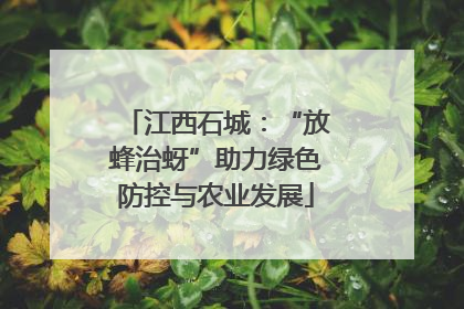 江西石城：“放蜂治蚜”助力绿色防控与农业发展