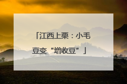 江西上栗：小毛豆变“增收豆”