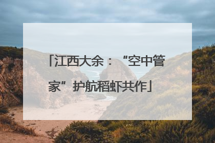 江西大余：“空中管家”护航稻虾共作