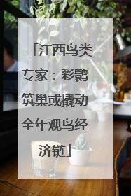 江西鸟类专家：彩鹮筑巢或撬动全年观鸟经济链