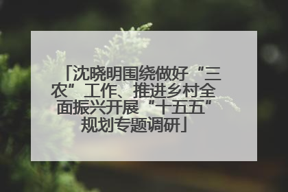 沈晓明围绕做好“三农”工作、推进乡村全面振兴开展“十五五”规划专题调研