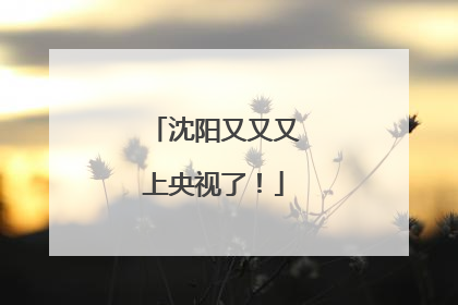 沈阳又又又上央视了！