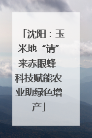 沈阳：玉米地“请”来赤眼蜂 科技赋能农业助绿色增产