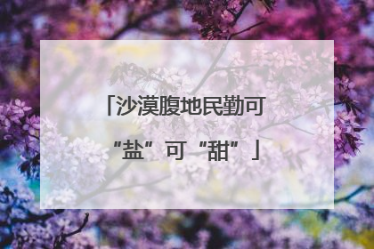 沙漠腹地民勤可“盐”可“甜”