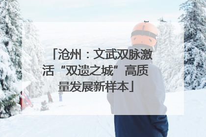 沧州：文武双脉激活“双遗之城”高质量发展新样本