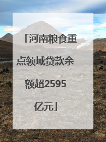 河南粮食重点领域贷款余额超2595亿元