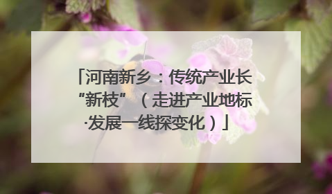 河南新乡：传统产业长“新枝”（走进产业地标·发展一线探变化）