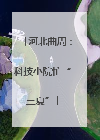 河北曲周：科技小院忙“三夏”