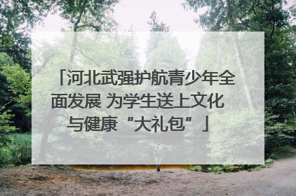 河北武强护航青少年全面发展 为学生送上文化与健康“大礼包”