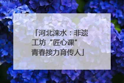 河北涞水：非遗工坊“匠心课” 青春接力育传人