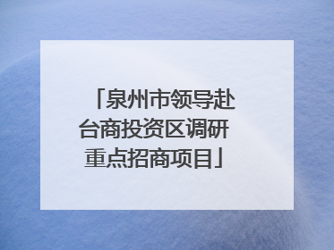 泉州市领导赴台商投资区调研重点招商项目