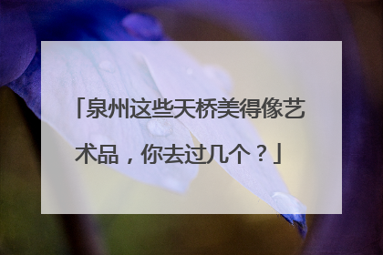 泉州这些天桥美得像艺术品，你去过几个？