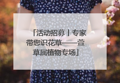 活动招募丨专家带您识花草——萱草属植物专场