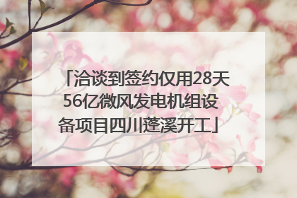 洽谈到签约仅用28天 56亿微风发电机组设备项目四川蓬溪开工