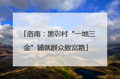 洛南：黑彰村“一地三金”铺就群众致富路