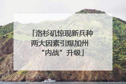 洛杉矶惊现新兵种 两大因素引爆加州“内战”升级