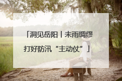 洞见岳阳丨未雨绸缪 打好防汛“主动仗”