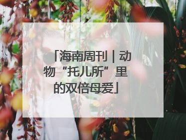 海南周刊｜动物“托儿所”里的双倍母爱