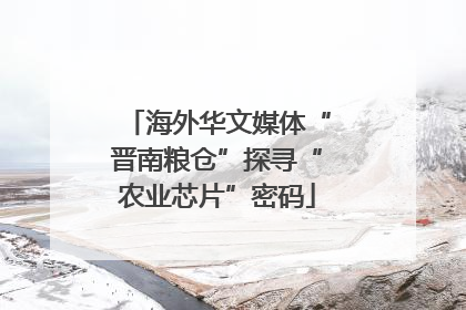 海外华文媒体“晋南粮仓”探寻“农业芯片”密码