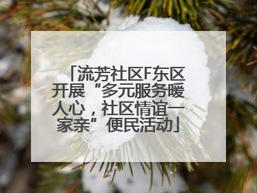 流芳社区F东区开展“多元服务暖人心，社区情谊一家亲”便民活动