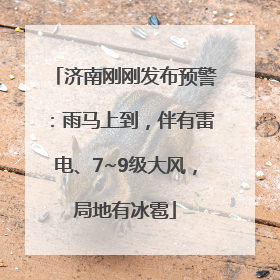 济南刚刚发布预警：雨马上到，伴有雷电、7~9级大风，局地有冰雹