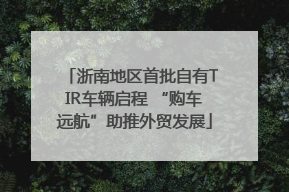 浙南地区首批自有TIR车辆启程 “购车远航”助推外贸发展