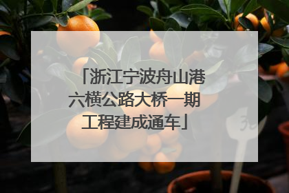 浙江宁波舟山港六横公路大桥一期工程建成通车