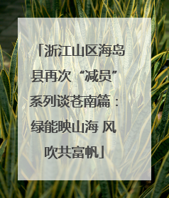 浙江山区海岛县再次“减员”系列谈苍南篇：绿能映山海 风吹共富帆