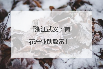浙江武义：荷花产业助致富