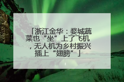 浙江金华：婺城蔬菜也“坐”上了飞机，无人机为乡村振兴插上“翅膀”