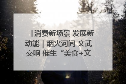 消费新场景 发展新动能｜烟火河间 文武交响 催生“美食+文化”消费新场景
