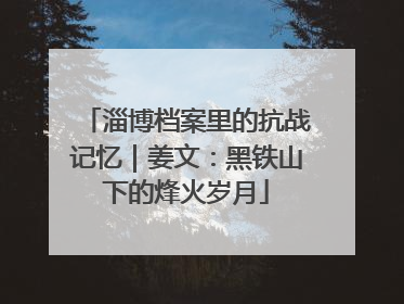 淄博档案里的抗战记忆｜姜文：黑铁山下的烽火岁月
