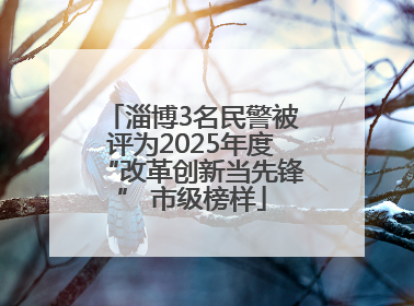淄博3名民警被评为2025年度“改革创新当先锋” 市级榜样