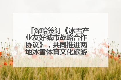 深哈签订《冰雪产业友好城市战略合作协议》，共同推进两地冰雪体育文化旅游高质量发展
